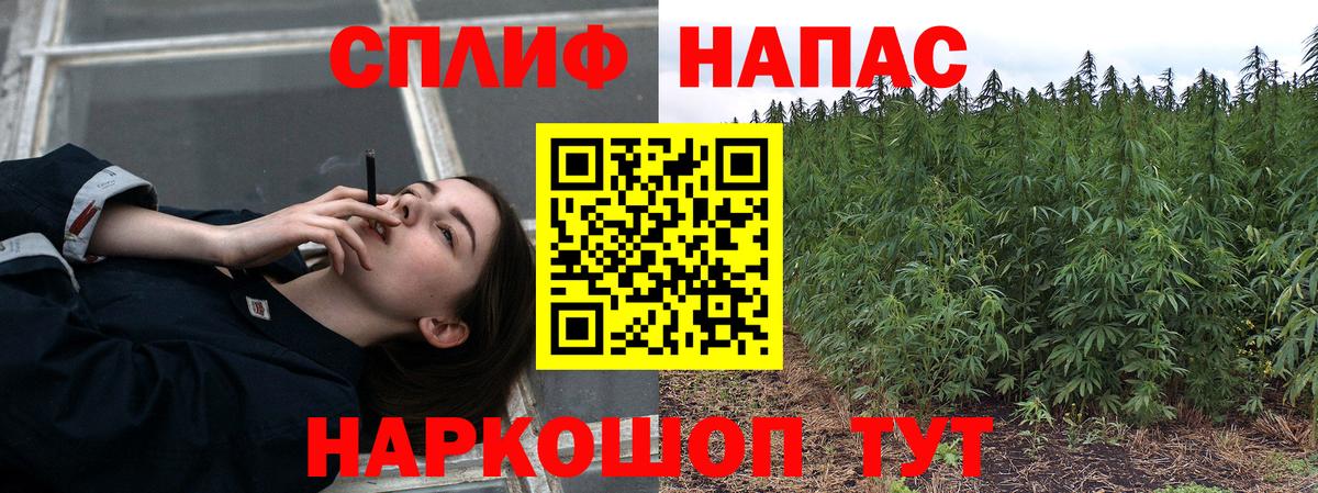 Бошки марихуана семена  Вход с VPN  МАРИХУАНА гибрид  Котлас 